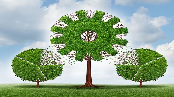 桃树皮的功效与作用